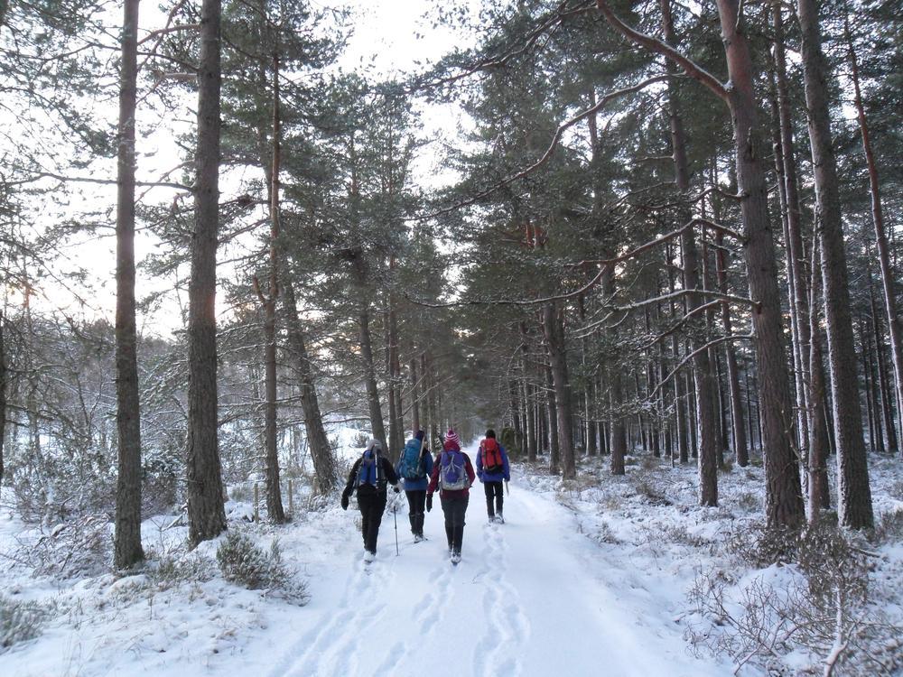 18th to 20th January 2013 – Nethy Station, Nethy Bridge