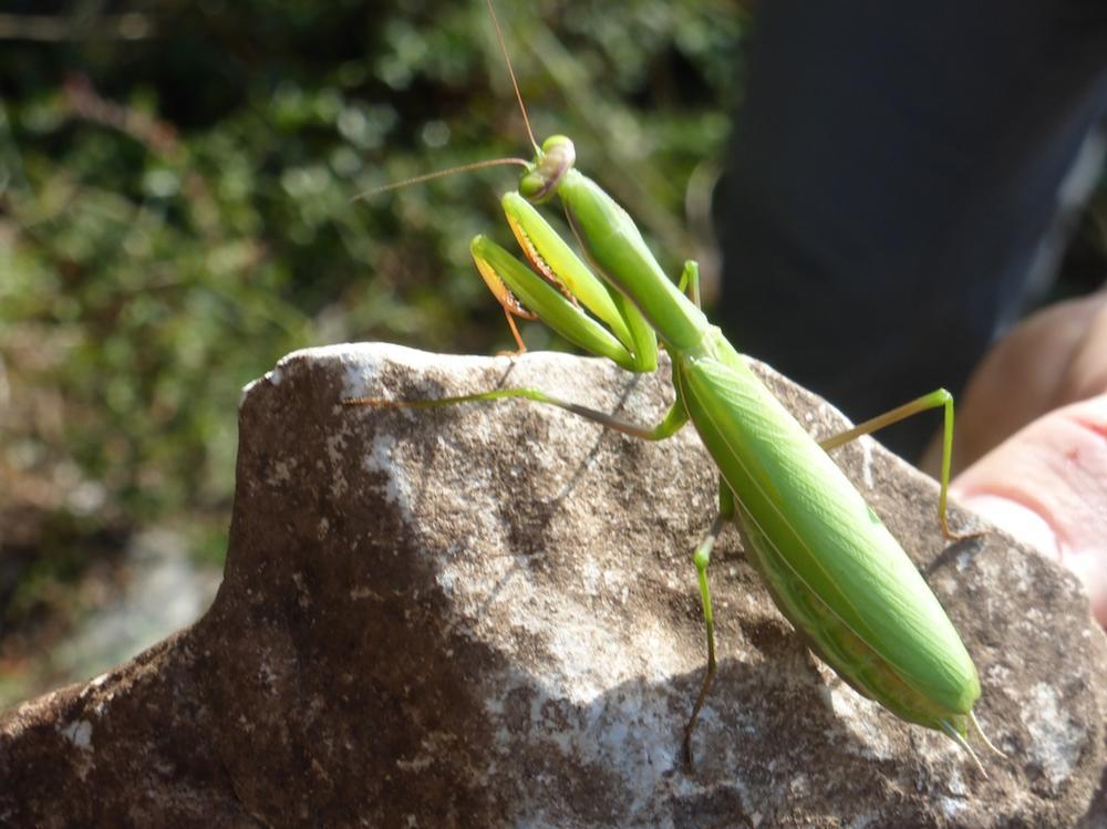 29th September to 6th October 2013 – GitaMiglos, Ariege