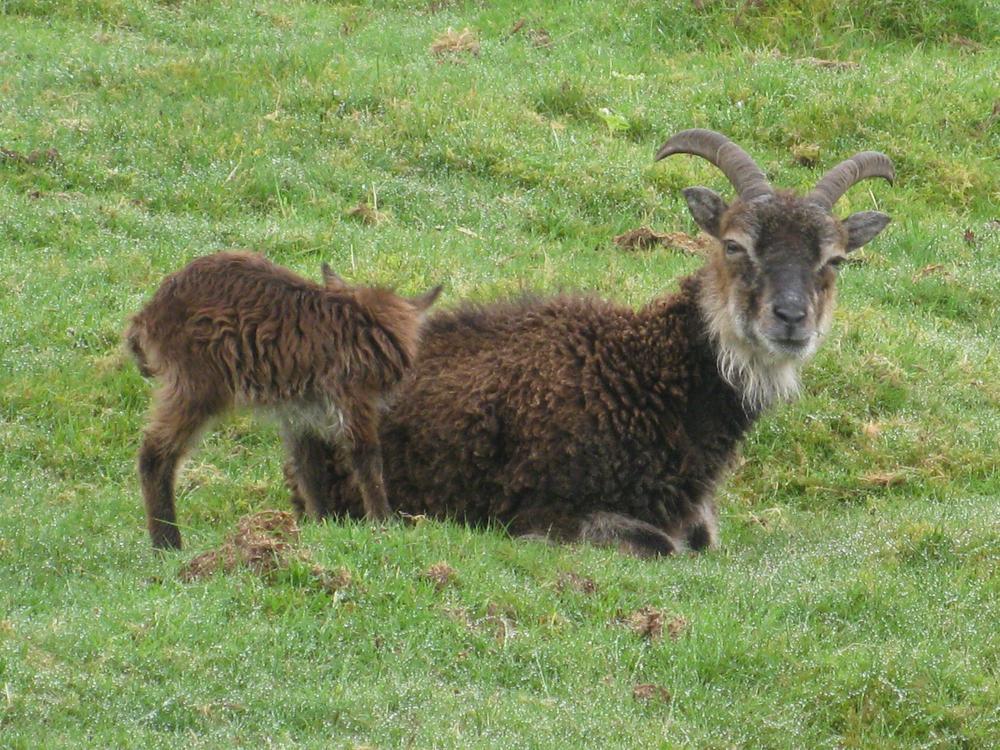 2nd to 4th May 2014 – Shore Lodge, Brodick Arran (May Bank Holiday)