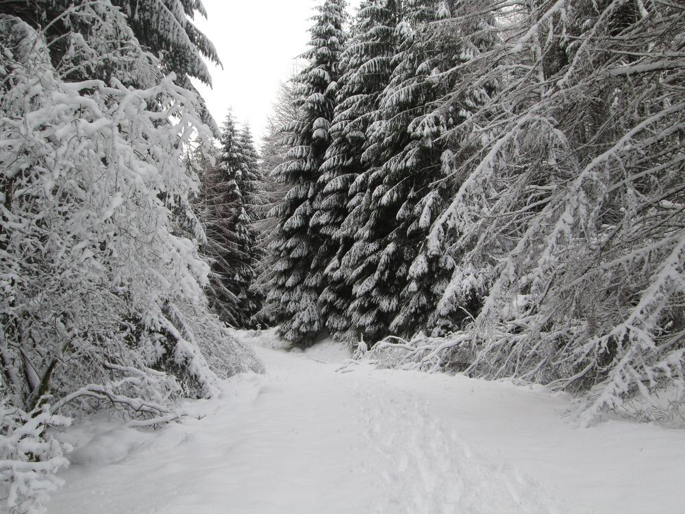 29th to 31st January 2016 – By The Way Hostel, Tyndrum