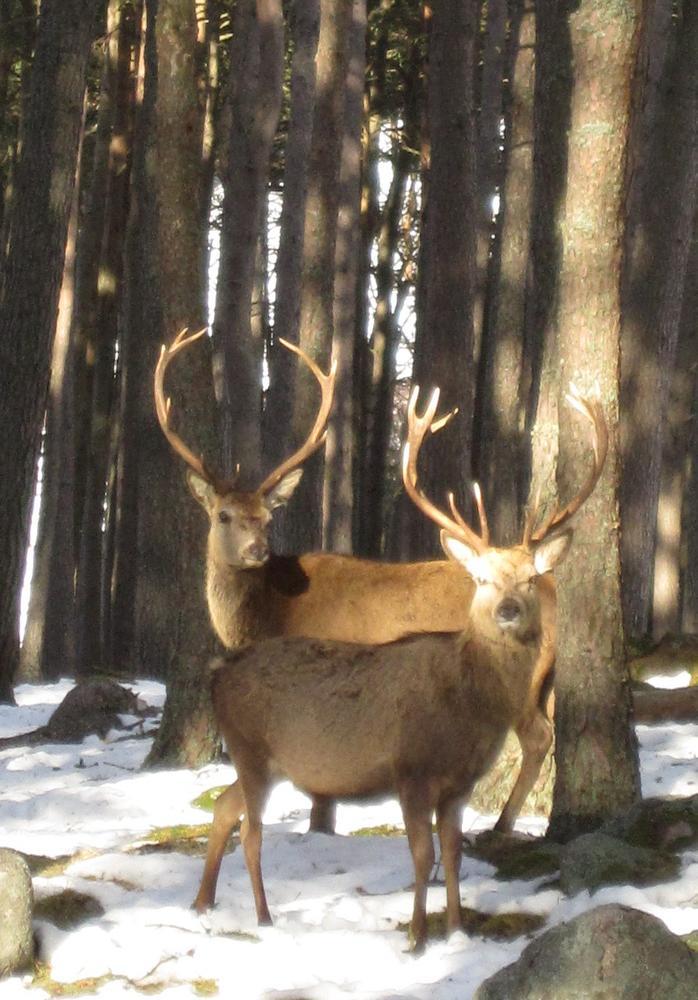 12th to 14th March 2010 – Muir of Inverey, Braemar