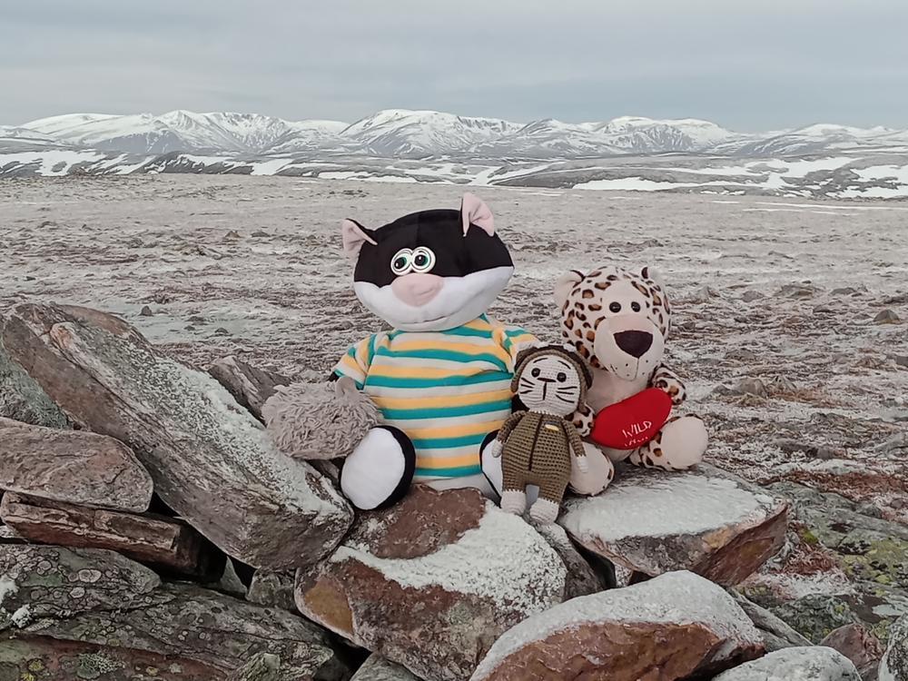 3rd to 5th February 2023 – Mar Lodge Bunkhouse , Braemar