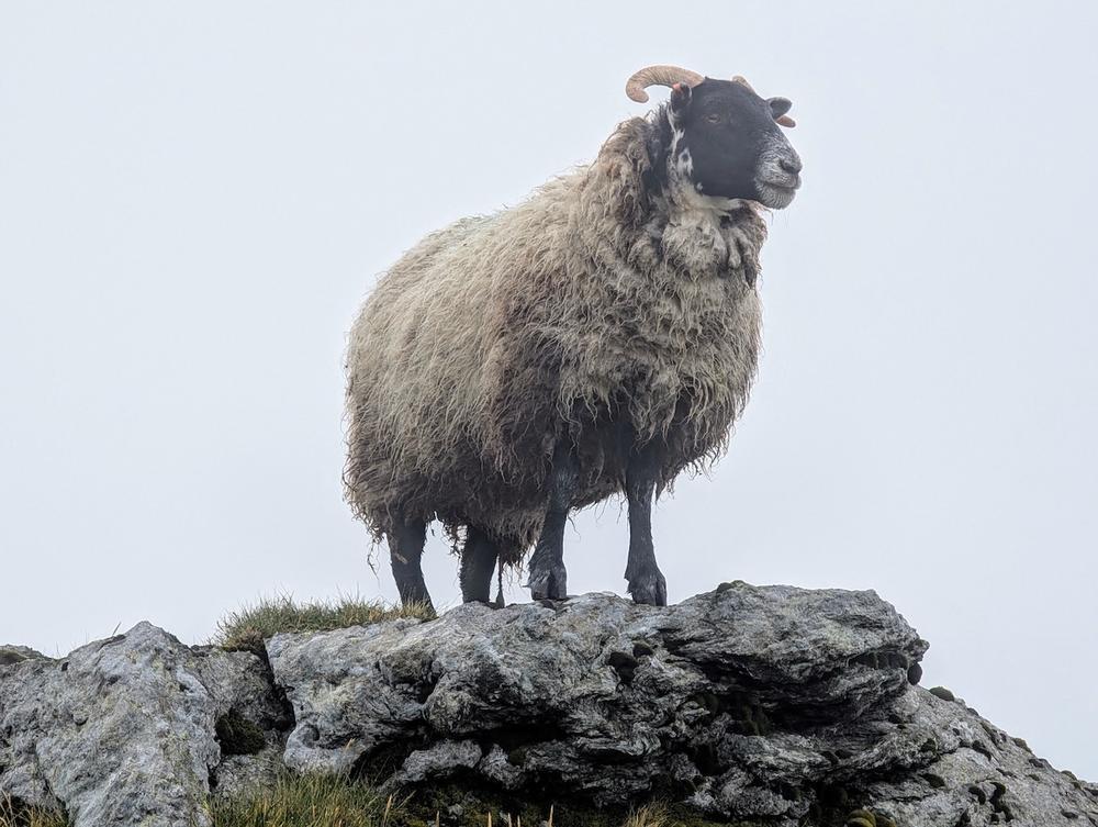 13th to 15th June 2025 – Inverardran Cottage, Crianlarich