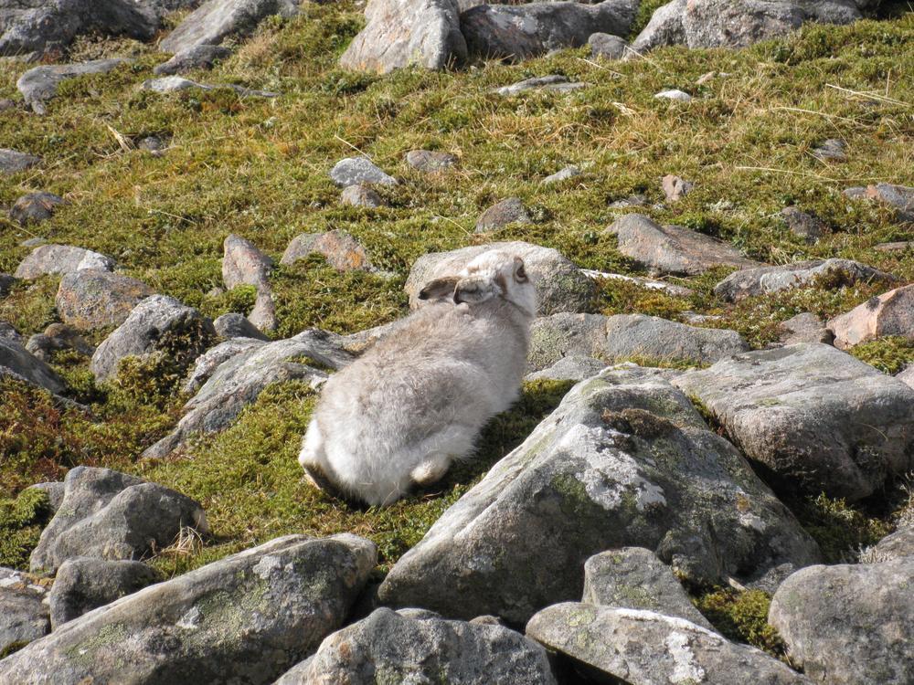 16th to 18th March 2012 – Corran , Corran